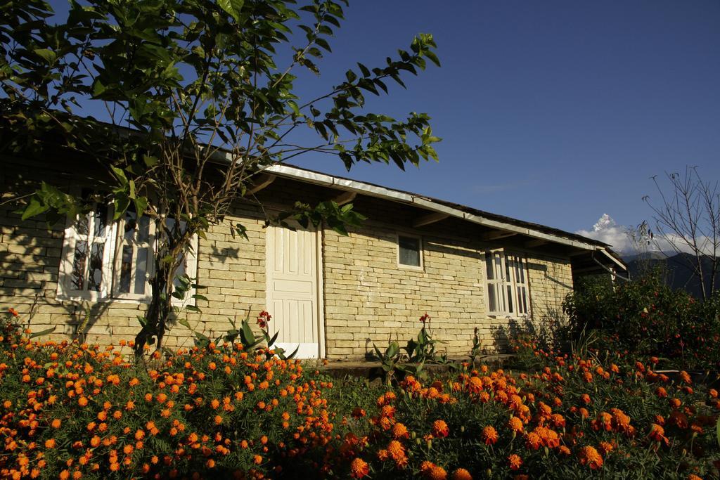 Annapurna Eco Village Покхара Екстер'єр фото